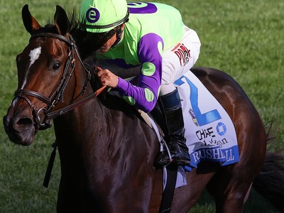 Preview: Breeders' Cup Filly and Mare Turf 2020 ( Horses, Ra ... Image 1